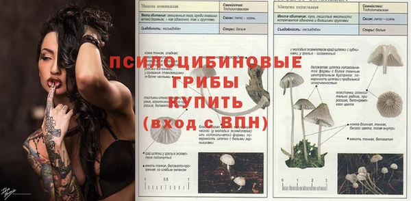 шишки Болохово