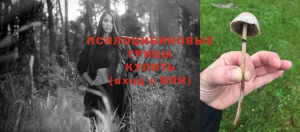 эйфоретик Переславль-Залесский
