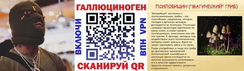 Псилоцибиновые грибы Cubensis  Вольск 