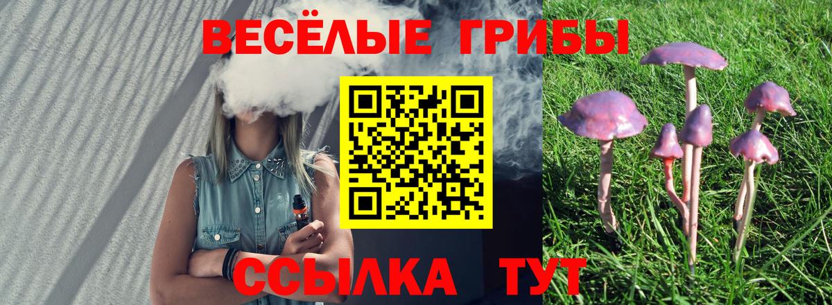 Вольск  Галлюциногенные грибы мицелий  Вход с VPN 
