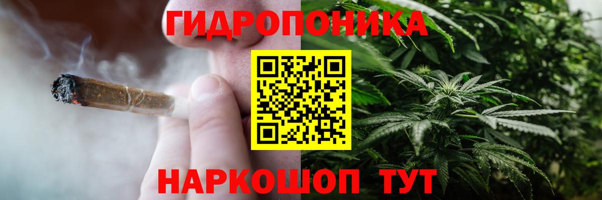 Каннабис MAZAR  Каннабис семена  Вольск 